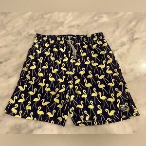 Tom and Teddy swim trunks, youth size 11-12